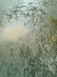 Full frame shot of wet shore