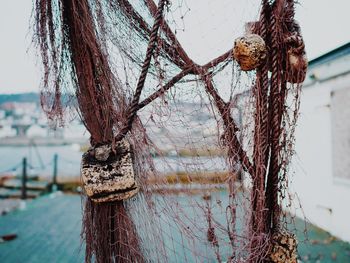 Close-up of abandoned fishing net