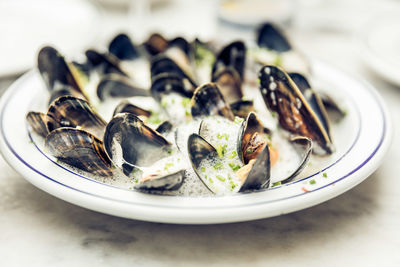 Close-up of clams in plate on table