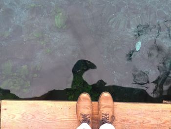 Low section of man standing in water