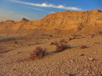 Scenic view of desert against sky