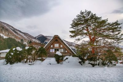 Snow covered plants and trees by building against sky