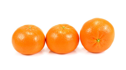 Close-up of orange fruits on white background