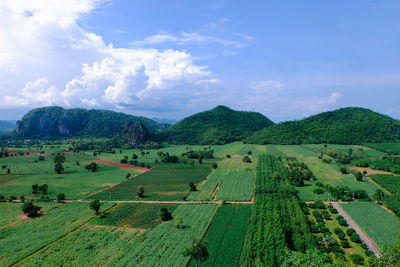 Scenic view of agricultural field against sky