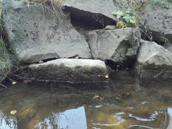 High angle view of rocks by lake