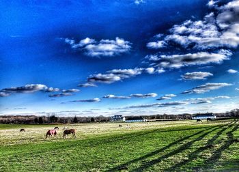 Scenic view of grassy field against sky