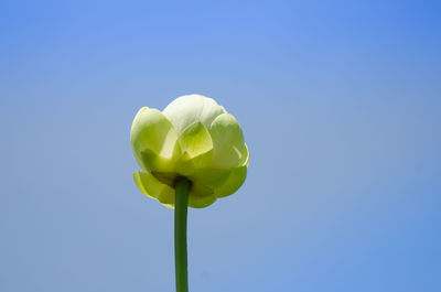 View of clear blue sky over black background