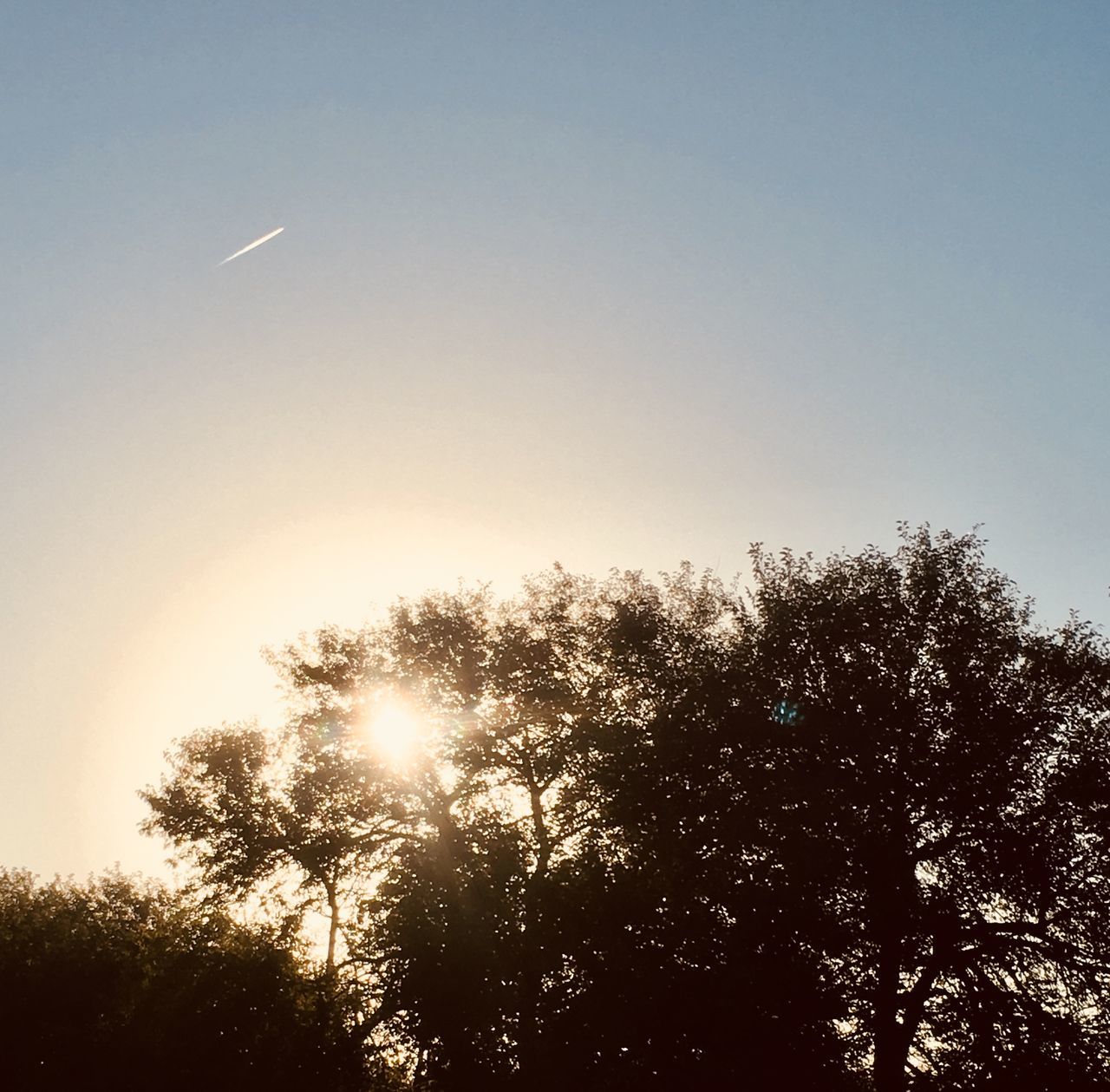 sky, tree, plant, silhouette, morning, sun, sunlight, nature, beauty in nature, tranquility, dawn, astronomical object, no people, light, low angle view, cloud, horizon, tranquil scene, scenics - nature, sunrise, growth, outdoors, idyllic, darkness, backlighting, clear sky