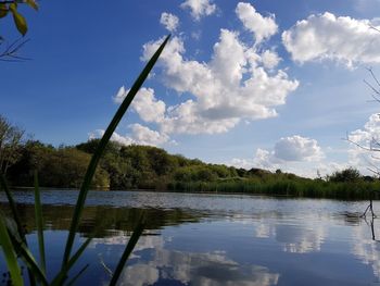 Reflection of trees in lake against sky