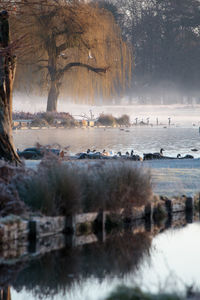 Scenic view of frozen lake during winter