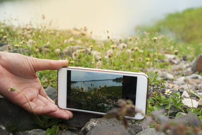 Midsection of person photographing through mobile phone on field