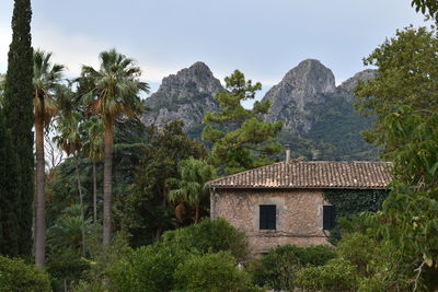 Trees and houses against sky