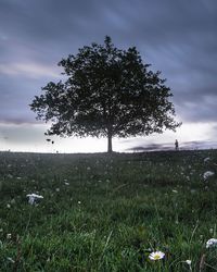 Scenic view of grassy field against cloudy sky