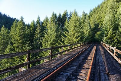 An abandoned railroad trestle disappears into the dense forest of the coastal range in nw oregon.