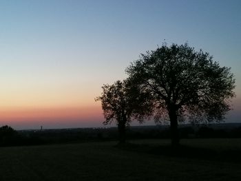 Silhouette trees on field against sky during sunset