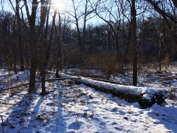 Snow covered land and bare trees on field against sky