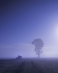 Silhouette trees on field against sky during foggy weather