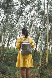 Woman standing by tree in forest