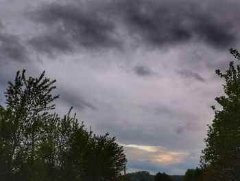 Low angle view of trees against cloudy sky