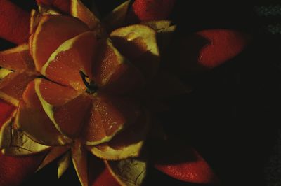 Close up of red leaves