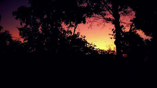 Silhouette of trees against sky at sunset