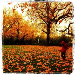 People in park