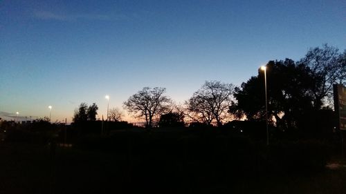 Silhouette trees against clear sky at sunset