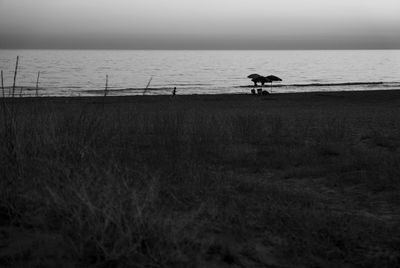 Silhouette person on beach against sky