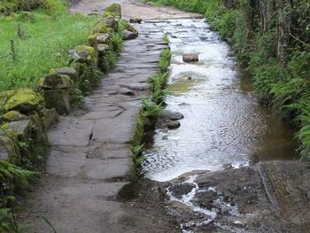 Water flowing in grass