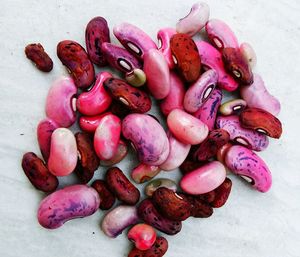 High angle view of vegetables