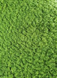 Full frame shot of grass on field