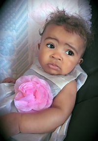 Portrait of cute girl holding pink flower