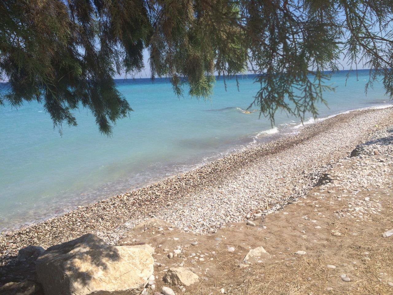 water, tranquility, tree, tranquil scene, nature, scenics, beach, beauty in nature, shore, sky, sea, sand, rock - object, day, lake, stone - object, outdoors, sunlight, idyllic, non-urban scene