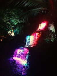 View of illuminated trees at night