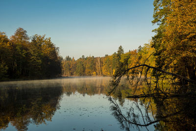 Scenic view of lake in forest against sky during autumn