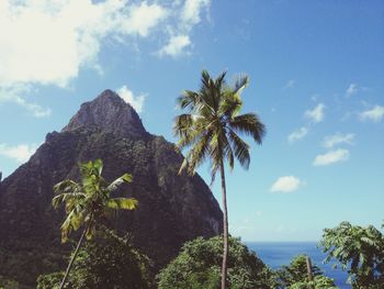 Mountain and trees against sea