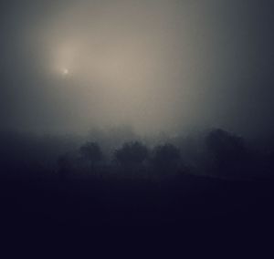 Silhouette trees in forest against sky during foggy weather