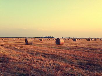 Scenic view of rural landscape