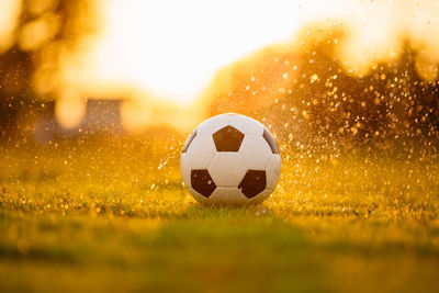 Close-up of soccer ball on field during sunset