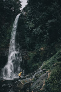 Scenic view of waterfall in forest