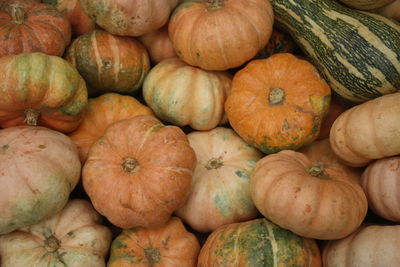 Full frame shot of pumpkins at market