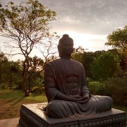 Trees against cloudy sky