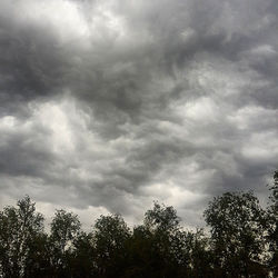 Low angle view of trees against cloudy sky