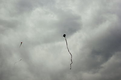 Low angle view of bird flying in sky