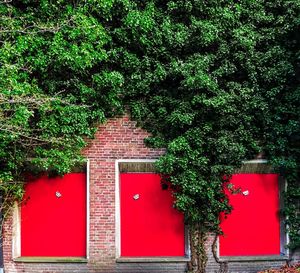 Red closed door of building