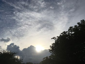 Low angle view of silhouette trees against sky