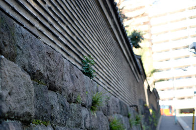 Close-up of brick wall