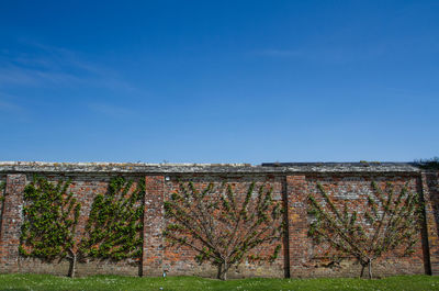 Low angle view of surrounding wall against blue sky
