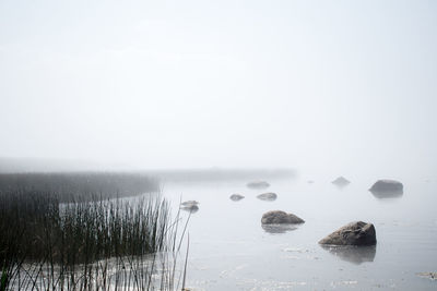 Scenic view of lake against sky during winter