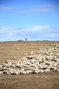 Scenic view of landscape against blue sky